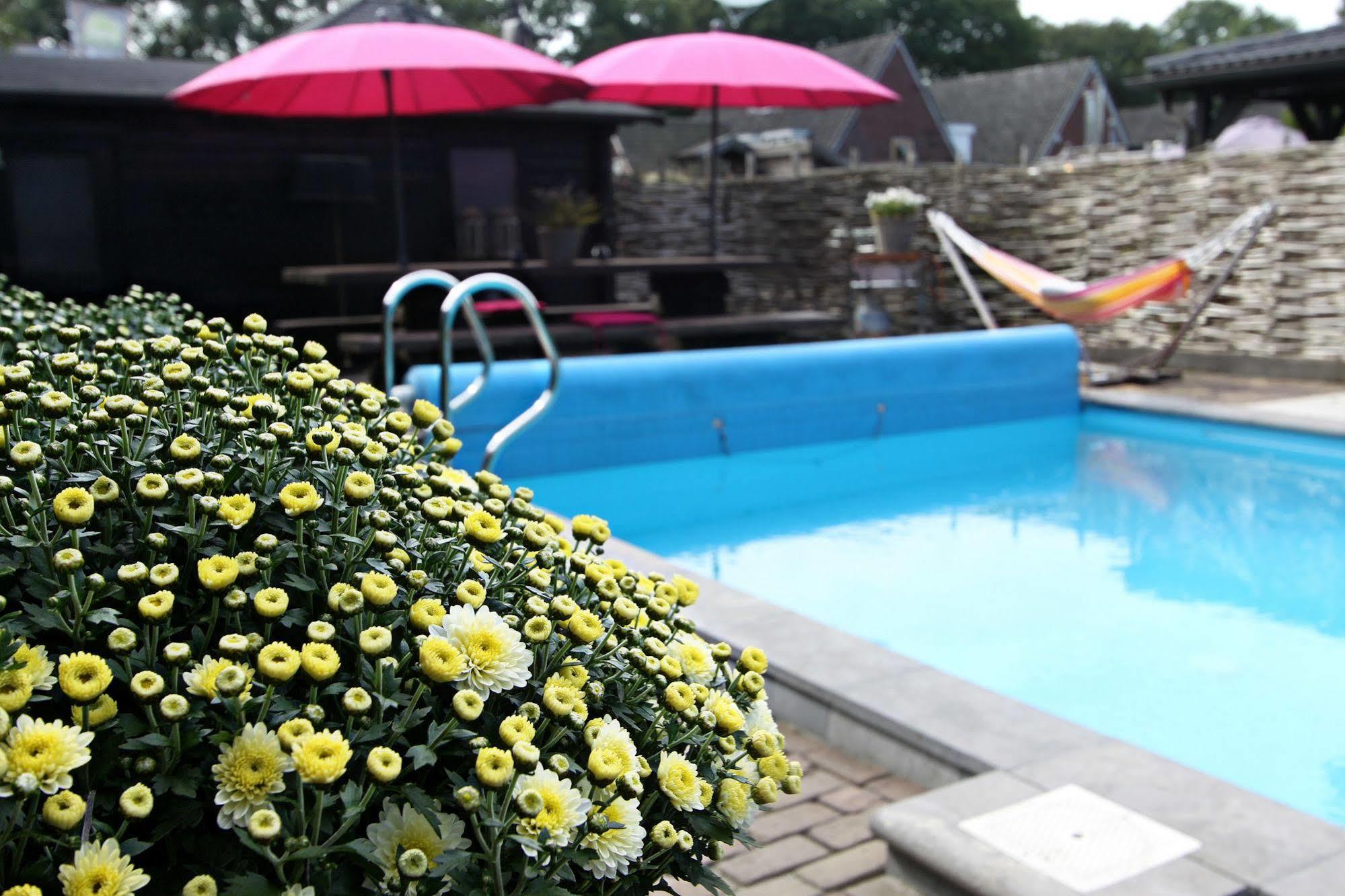 Hotel Buxus Gasselte Kültér fotó