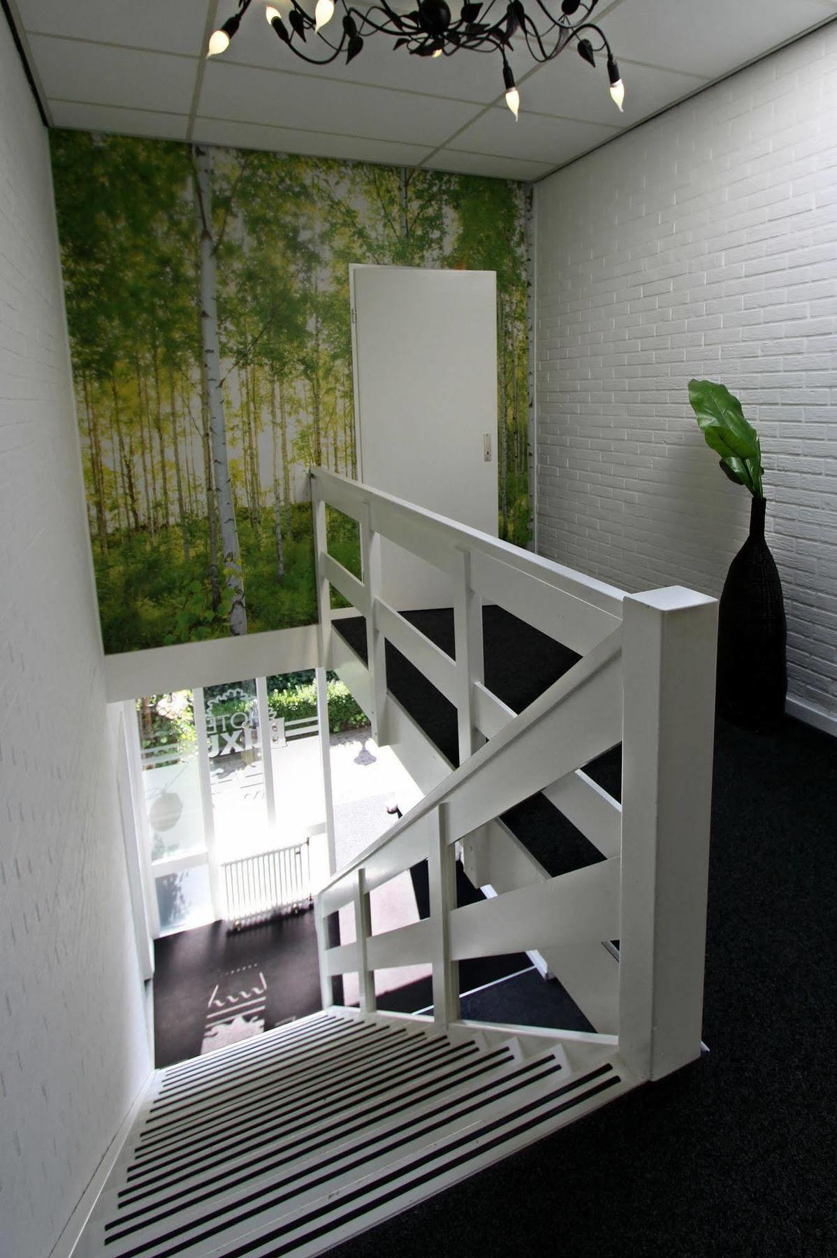 Hotel Buxus Gasselte Kültér fotó
